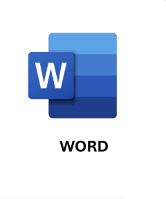 MS Word